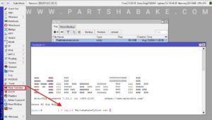 iran access mikrotik